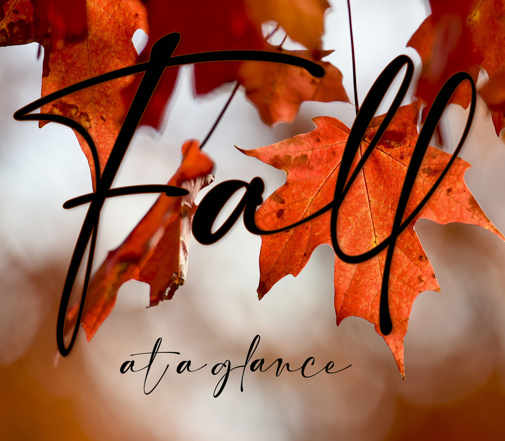 Fall at a glance